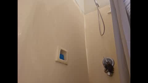 Snapshot of chrispycum chatting on 12-29-24, 04:48 Chris online show from 12-29-24, 04:48