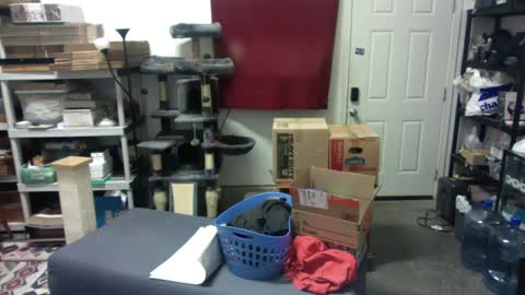 Snapshot of chrisryan00 chatting on 12-04-24, 05:49 Chris online show from 12-04-24, 05:49