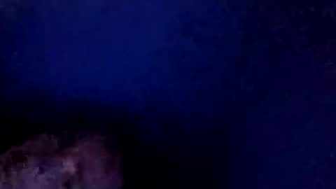 christmasfawks online show from 11-26-25, 03:57