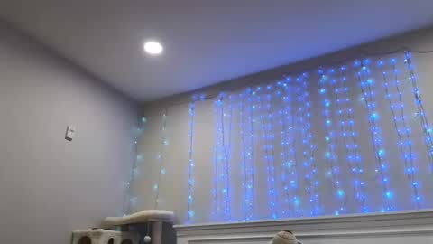 Christy Love online show from 12-29-24, 01:24