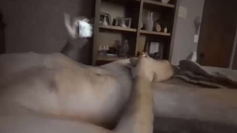 chrisw8121 online show from 02-06-26, 06:40