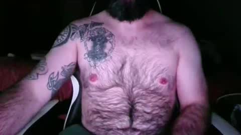 Snapshot of chub_bear_99 chatting on 05-17-26, 02:53 chub bear 99 online show from 05-17-26, 02:53