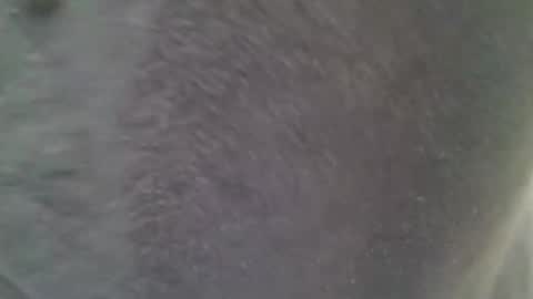 Snapshot of chubbycub14 chatting on 02-07-26, 03:38 chubbycub14 online show from 02-07-26, 03:38