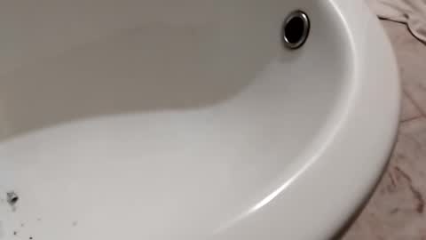 Snapshot of ciccilli chatting on 10-26-25, 11:20 ciccilli online show from 10-26-25, 11:20