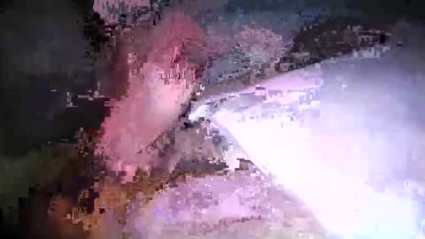 cicuta15 online show from 03-17-26, 01:10