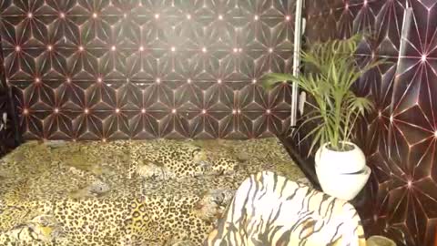 Cindy online show from 01-07-25, 03:35