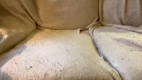 join the circle online show from 12-17-24, 04:53