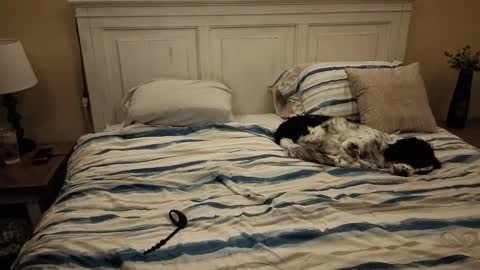 Snapshot of cking14340730238 chatting on 10-10-25, 07:40 KingDing online show from 10-10-25, 07:40