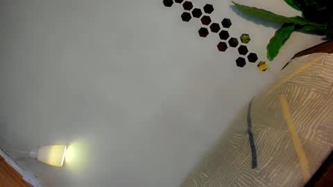 Amanda trans red one  Anna Girl black one online show from 01-12-26, 03:17