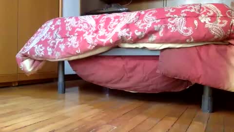 Snapshot of claudi779 chatting on 12-29-24, 03:24 claudi779 online show from 12-29-24, 03:24