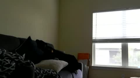 instayour big commander online show from 12-24-24, 09:22