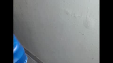 Snapshot of cockfanx chatting on 02-21-25, 01:55 cockfanx online show from 02-21-25, 01:55