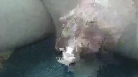 cocktoys online show from 02-02-26, 05:50