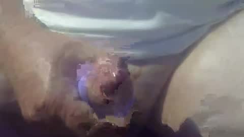 cocktoys online show from 03-14-26, 08:25