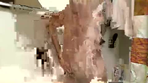 coco3402 online show from 10-31-25, 03:35