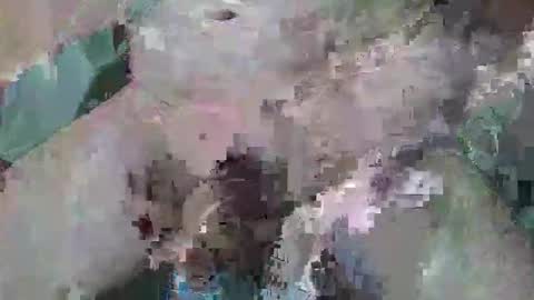 cogela_sin_miedo online show from 10-06-25, 11:46