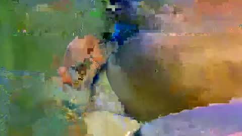 colourlight online show from 11-09-25, 11:47