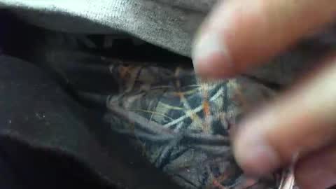 Snapshot of comox1961 chatting on 03-06-25, 08:30 comox online show from 03-06-25, 08:30