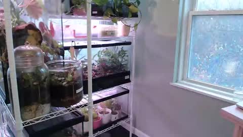 Snapshot of constantcumquest chatting on 11-09-25, 05:22 ANR Mommy online show from 11-09-25, 05:22