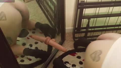 controllercutie online show from 03-20-26, 11:09