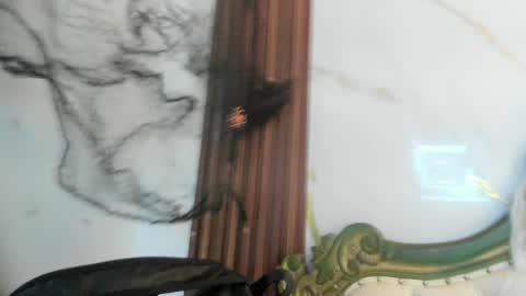 Coralie Bronson online show from 10-28-25, 08:44