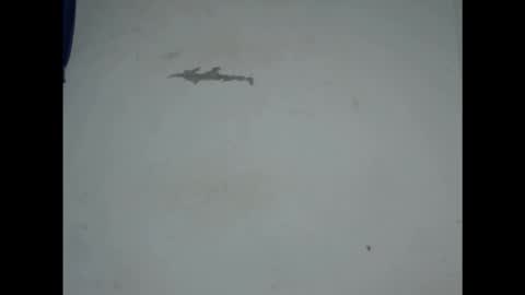 cornxcunt online show from 02-18-26, 09:44