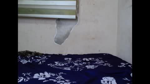 cornxslut online show from 09-15-25, 07:03