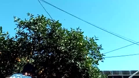 corpusrichard78 online show from 03-03-25, 06:55