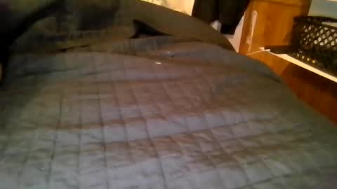 your local abrasive ALT couple online show from 03-19-26, 08:07