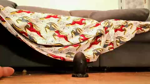 Andy sissy room online show from 09-26-25, 04:33