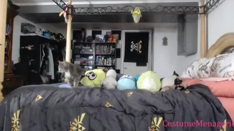 Amethyst Cox online show from 03-26-26, 10:04