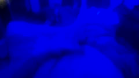 Countrystudd online show from 12-23-25, 08:12