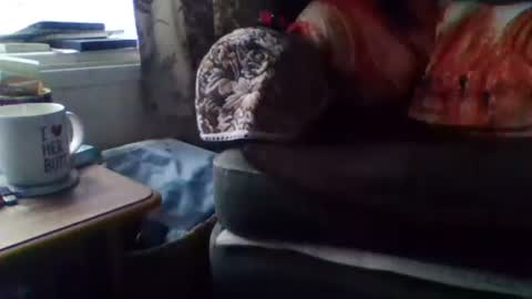 Snapshot of courieral1 chatting on 02-15-25, 08:00 courieral1 online show from 02-15-25, 08:00