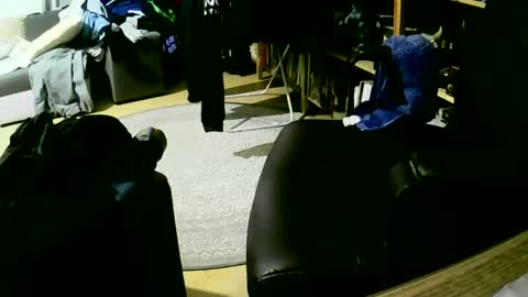 Snapshot of coyote017 chatting on 01-27-25, 06:09 coyote017 online show from 01-27-25, 06:09