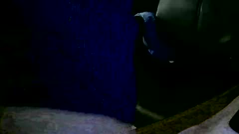 Snapshot of coyote017 chatting on 01-31-25, 11:13 coyote017 online show from 01-31-25, 11:13