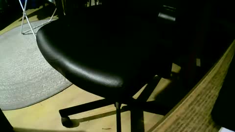 Snapshot of coyote017 chatting on 02-25-25, 07:14 coyote017 online show from 02-25-25, 07:14