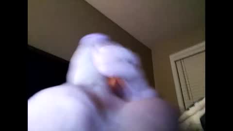 Snapshot of cranada777 chatting on 02-24-25, 01:21 Cranada777 online show from 02-24-25, 01:21