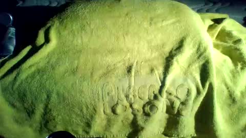 crave_me_ online show from 11-20-25, 01:50