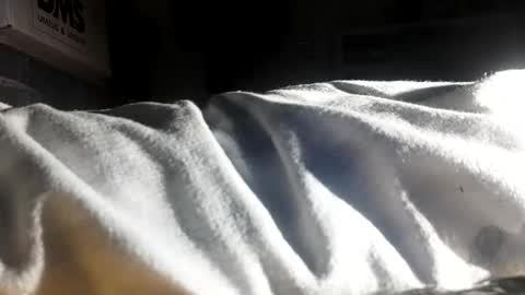 crave_me_ online show from 11-30-25, 06:28