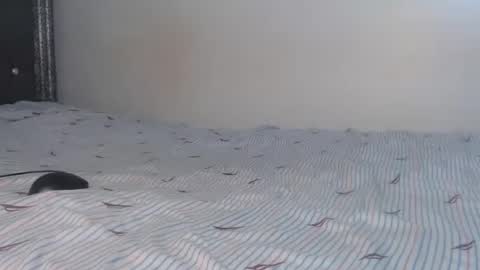 creamybabes0 online show from 01-06-26, 05:33