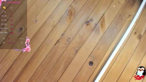 Cristal online show from 01-19-26, 04:05