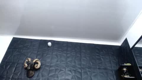 Hanna  online show from 11-30-25, 04:38