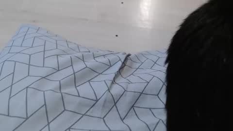 cristynaa36 online show from 11-05-25, 12:05