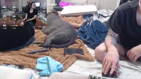 Crownandkat online show from 03-02-26, 11:33