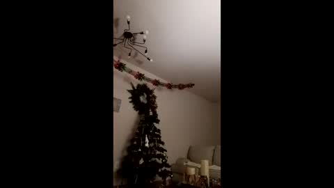 Bella online show from 12-23-25, 03:48