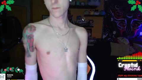 Snapshot of cryptidtwink chatting on 12-24-24, 04:55 CryptidTwink online show from 12-24-24, 04:55