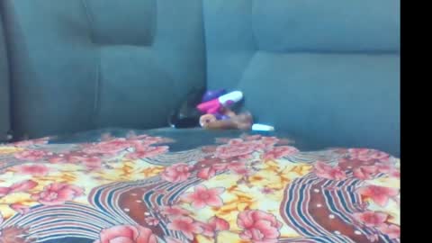 crystallgem online show from 03-02-26, 01:07