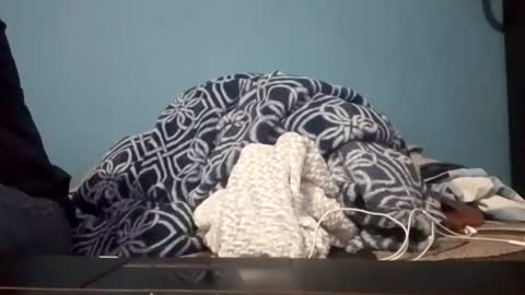 Snapshot of cumbian_chero chatting on 07-14-26, 03:44 cumbian_chero online show from 07-14-26, 03:44