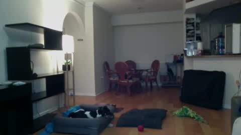 cumfiesta1 online show from 02-02-25, 04:22