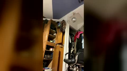 Aprilia online show from 02-02-26, 09:35